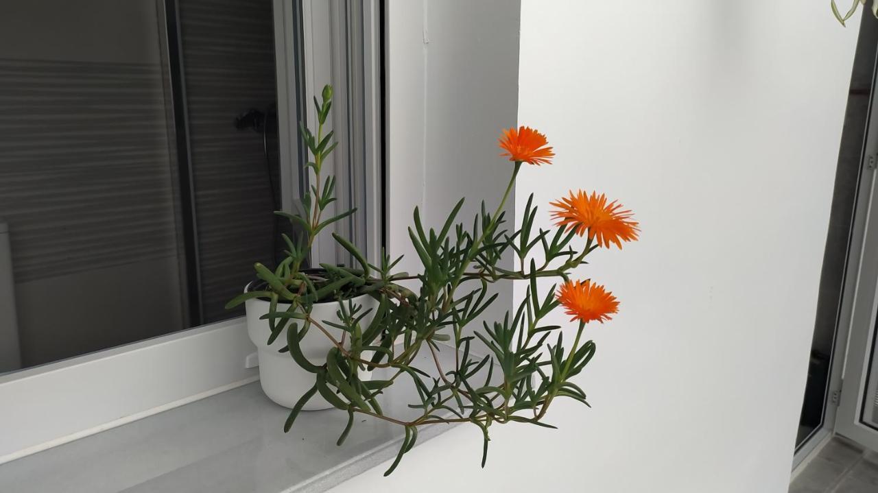 מרידה Iulia Emerita Centro מראה חיצוני תמונה